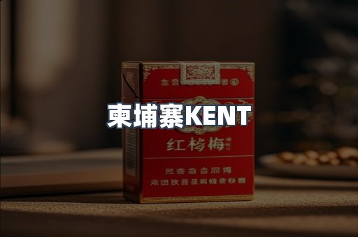 柬埔寨KENT